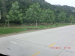 53949CIMG4217.JPG