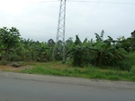 25819P1020238.JPG