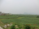 32650CIMG1769.JPG