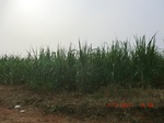 32842CIMG1974.JPG