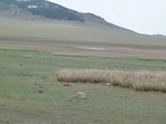 23268P1020938.JPG