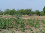 1770222042008(80).JPG