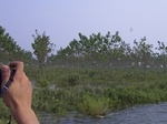 559R0015105.jpg