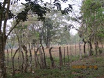 30053IMG_5341.JPG