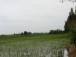 31595CIMG1461.JPG