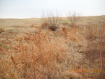 9514DSCN0961.JPG