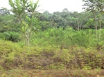 47395CIMG3732.JPG