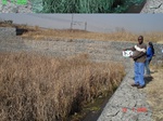 11095gt-197-wetland-urban-valley-bottom-02.jpg