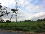 31317CIMG1179.JPG