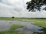22115DSC00356.JPG