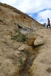 28636P1010653-1.JPG