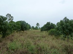 18545P1000381.JPG