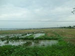 39604CIMG1703.JPG