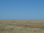 42500P1000299.jpg