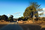 28599P1010616-1.JPG