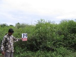 1176620-shrubland-iucnb.jpg