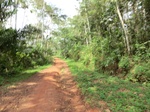 46576CIMG0865.JPG