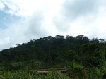 20575P1020432.JPG
