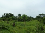 18621P1000459.JPG