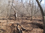 8609IMG_1234.JPG