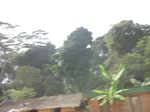 48533CIMG4870.JPG