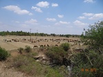 51901Tank ID 1800017 Ragalahalli 3.JPG