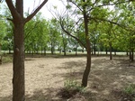 19111P1000956.JPG