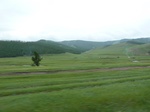 23870P1040962.JPG