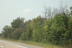 2024-09-24_16-31-44_063A0C3B-235D-4464-91B2-4BC4AB5E27C8.jpeg
