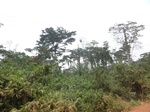 49105CIMG5442.JPG