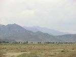 37515CIMG1317.JPG