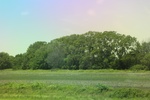 2024-06-17_22-14-45_84094EF8-74EC-4EB3-A4E4-EDBE0C43AD73.jpeg