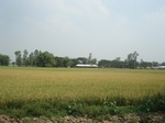 21859DSC08449.JPG