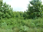21103P1020980.JPG