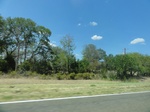 35122DSC02327.JPG