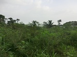 48145CIMG4482.JPG
