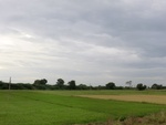 56011CIMG6698.JPG