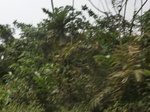 47717CIMG4054.JPG