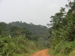 48948CIMG5285.JPG