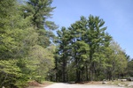 230IMG_4126.JPG