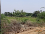 51881Tank ID 1800331 Muthurayanahalli 1.JPG