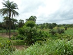 18791P1000629.JPG
