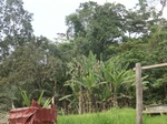 49689CIMG6026.JPG