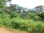 20566P1020423.JPG