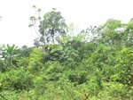49297CIMG5634.JPG