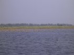 1507R0015203_small.jpg