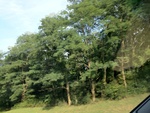 57959IMG_0922.JPG