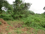 45780CIMG2865.JPG