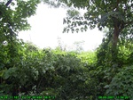 1708R0015318_tag.jpg