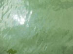 58366CIMG2815.JPG